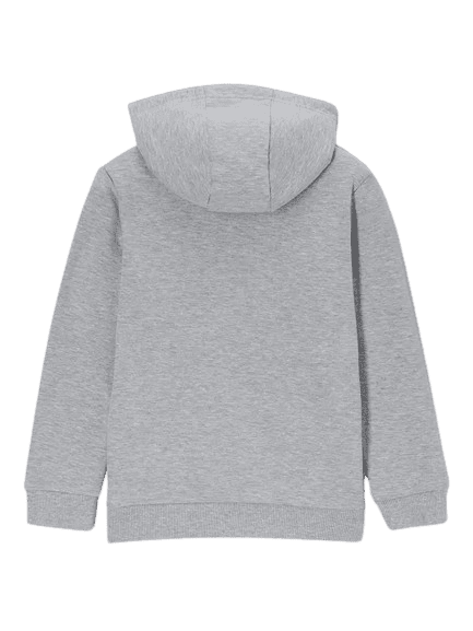 Spider Hoodie Grey Man